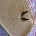 El cooksnap de Marieta cuando hizo Vichyssoise fresquita.