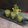 Rita Talukdar Adak's cooksnap of when they made Amla Shots.