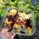 Cooksnap dari Dinda Januari Cipta untuk resep Setup roti tawar kukus santan #2