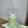 Cooksnap dari Lyla Putri Syaqeela untuk resep Pudding Sedot Melon