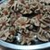 Cooksnap dari Nadia Halim untuk resep Semprit Coklat Super Simple Anti Gagal 3bahan No Mixer
