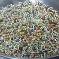 Vrinda Idnani's cooksnap of when they made Sprouts salad.