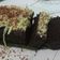 Cooksnap dari viesta untuk resep Brownies kukus takaran 3sdm - Anti gagal - no mixer, no oven