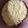 Cooksnap dari lia sitawati untuk resep Basic Dough Pizza.