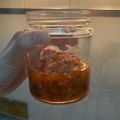 Cooksnap dari Dina Irma untuk resep Sambel bawang tahan 2 minggu