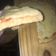 El cooksnap de Agus Morales cuando hizo Masa Pizza casera.