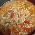 mogedora2's cooksnap of when they made Stuffed Pepper Soup.
