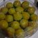 Cooksnap dari Siti Hodijah untuk resep Nastar Green Tea