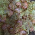 Cooksnap dari Honeynuun untuk resep Peyek udang (kulit tipis)