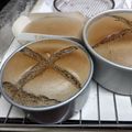 k elly 的 抹茶戚風（粉油法） cooksnap