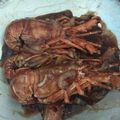 Cooksnap dari Sofi Fitria untuk resep Lobster Lada Hitam ala Resto