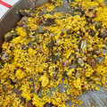 El cooksnap de Rodin cuando hizo Paella 🥘 de secreto ibérico, ajos tiernos y alcachofas.
