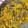 El cooksnap de Rodin cuando hizo Paella 🥘 de secreto ibérico, ajos tiernos y alcachofas.