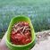 Cooksnap dari Mona Astria untuk resep Sambalado Uwok Bada / Teri