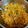 Varsha Challa's cooksnap of when they made Sabudana khichdi.