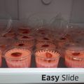 Cooksnap dari Teni Pratiwi untuk resep Pinky Strawberry Pudding