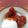 Cooksnap dari Clara untuk resep Fire Chicken Wings a la Richeese