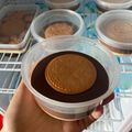 Cooksnap dari Riska Indahyani untuk resep Puding Marie Regal Dessert Box ala Tiger Kitchen