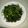 江哲祐 的 炒地瓜葉 cooksnap
