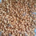 Cooksnap dari Alan Wiyanto untuk resep Kacang Bawang Gurih Renyah (dan tips menggoreng)