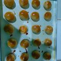 Cooksnap dari Iin Mardia untuk resep Nastar Keju