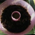 Cooksnap dari Lala Mufidah untuk resep Oreo Cheese Cake