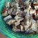 Cooksnap dari Yustina Ikka untuk resep Semur Tahu