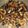 Azenga's cooksnap of when they made Fried Matumbo.