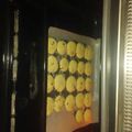 El cooksnap de Daniela Veracierta cuando hizo Galletas SIN GLÚTEN de vainilla con chips de chocolate.