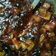 Vandna bosamiya's cooksnap of when they made ઇન્સ્ટન્ટ ગોળકેરી આચાર(Insatnt golkeri Achar recipe in Gujarati).
