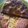 Cooksnap dari Ummu Abdirrahman Sarah Yanti untuk resep Banana cake no mixer Farah quin