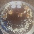 Bettina Koosz Cooksnap-ja, amikor elkészítette a(z) Dobos torta krém Zsizsi módra receptet.