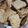 El cooksnap de Sofía Sol cuando hizo Crackers integrales con Mix de semillas.
