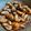 Siman W 的 胡椒蝦 cooksnap