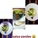 Satya Pandey का कुकस्नैप जब उन्होंने पालक का सूप (palak ka soup recipe in Hindi) बनाया था।