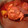 El cooksnap de Maritza Duarte cuando hizo Codillo de cerdo en chile guajillo preparado en olla de presión.