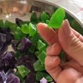 Cooksnap dari Alicia Catharina alay untuk resep Jelly candy / permen agar agar