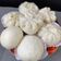 Cooksnap dari Laksmi Margono untuk resep Bakpao Ny. Liem