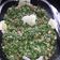 صورة من سوزان شوقي 💖💟، شاركها بعد تجربة وصفة 🍃🍅تبولة 2🍅🍃
