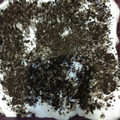 El cooksnap de Pedro Lo cuando hizo Tarta de oreo.