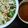 Ummay Salma's cooksnap of when they made ঝটপট চটপটি.
