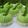Cooksnap dari Syifa_hana untuk resep Apem tepung beras