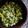 El cooksnap de Angélica cuando hizo Pebre de Ají Verde.
