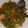 Cooksnap dari Cici Cineut untuk resep Sayur tumis genjer