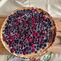 El cooksnap de Fabiola Uribe Allende cuando hizo Kuchen de frutos rojos.