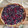El cooksnap de Fabiola Uribe Allende cuando hizo Kuchen de frutos rojos.