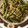 El cooksnap de Raquel Portales Amo cuando hizo Gremolata de espárragos trigueros.