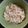 Cooksnap dari Machrani Febriastry untuk resep Risotto Ayam Udang (MPASI 7Mo+)