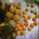 Cooksnap dari Amalya Sunandi untuk resep Nastar (Resep 1kg Terigu)