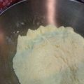 Felice's cooksnap of when they made Iz's Vegan Cornmeal Mix.